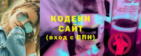 дмт Пестово