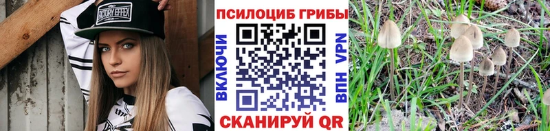 Галлюциногенные грибы Psilocybine cubensis  Усть-Лабинск 
