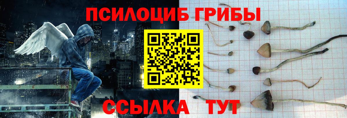 Псилоцибиновые грибы GOLDEN TEACHER  Усть-Лабинск  Псилоцибиновые грибы прущие грибы 