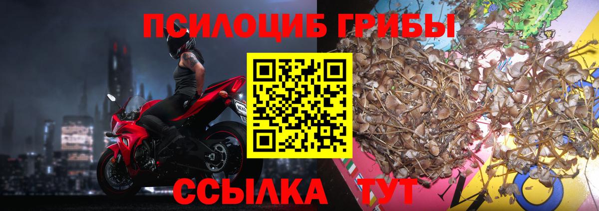 Усть-Лабинск  Бошки Шишки  Лсд 25  ГАШ  Экстази  Мефедрон   Вход с VPN  Кокаин 
